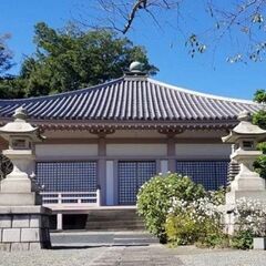 🌸テラヨガ新規会員募集中🌸の画像
