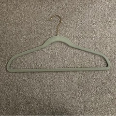 ハンガー大量（計37本）おまけ付けの画像