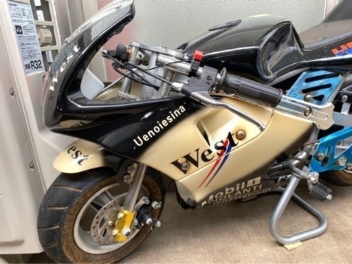 ポケバイ(エンジン式、実動車)