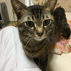 急募でよろしくお願いします！