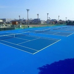 ソフトテニス募集