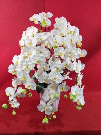 造花　胡蝶蘭　白