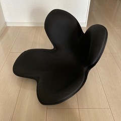 骨盤サポート、Styleの画像