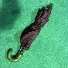 婦人用　折り畳み傘　ボルドーの画像