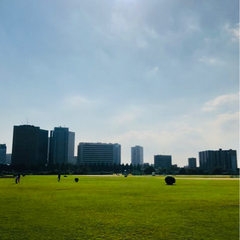 1/16 六郷土手河川敷でキャッチボールしませんか？