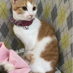 美しいしずちゃん１才半