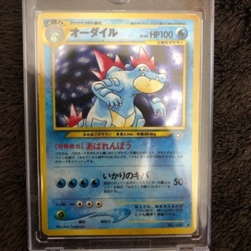 オーダイル旧裏