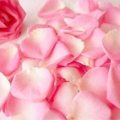 happy Organic　～オリジナル　アロマバスソルト作成～　