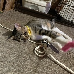 受付終了 - 大月市