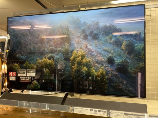 Panasonic 有機EL4K対応テレビ　THー65EZ 1000 2017年製　3チューナー　リモコン付