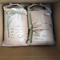 令和3年　新米　コシヒカリ　30kg