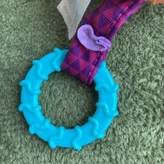 sassyぶるぶるおもちゃの画像