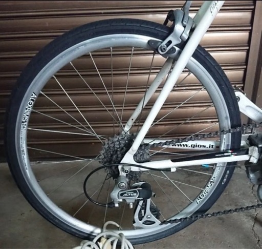 GIOS ジオス MIGNON ミグノン サイズ 47
