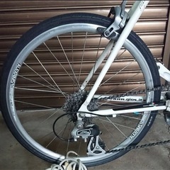 GIOS ジオス MIGNON ミグノン サイズ 47の画像