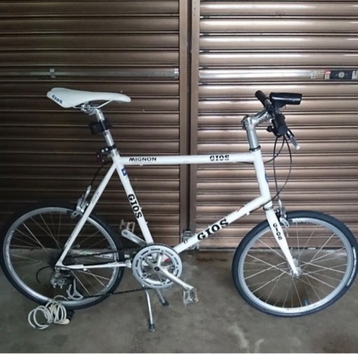 GIOS ジオス MIGNON ミグノン サイズ 47