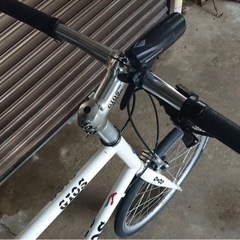 GIOS ジオス MIGNON ミグノン サイズ 47の画像