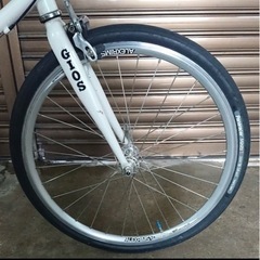 GIOS ジオス MIGNON ミグノン サイズ 47の画像