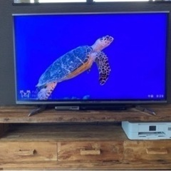 【引渡決定】シャープAQUOS 60インチTV