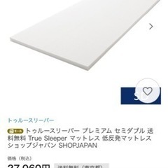 トゥルースリーパー　セミダブル