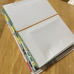 幼稚園ワニワニパニック 付録付き 現金のみの画像