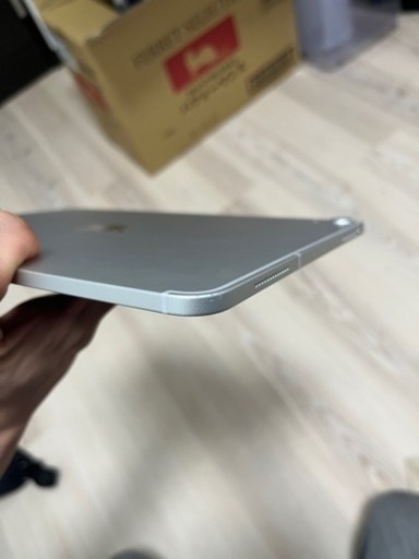 ipad pro 11インチ 第一世代 256G cellularモデル