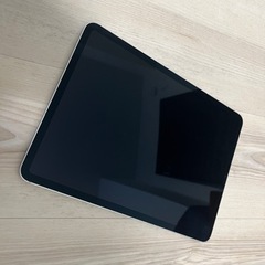 ipad pro 11インチ 第一世代 256G cellula...