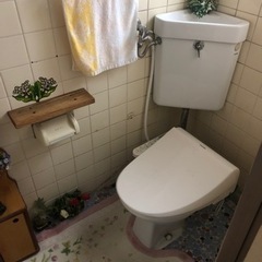 トイレ壁、床、天井クロス下地　大工工事　