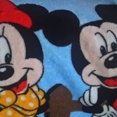 ディズニーチケット【スポンサーチケット】1枚の画像