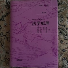ホーンブック法学原理