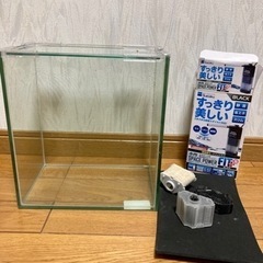 【無料】小さな水槽の画像