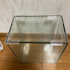 【無料】小さな水槽の画像