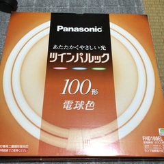 蛍光灯100形その２