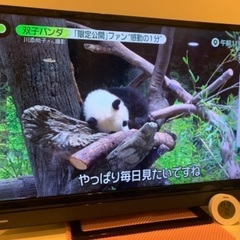 TOSHIBA 液晶テレビ
