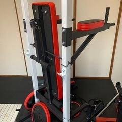 WASAI ぶら下がり健康器 多機能懸垂マシン