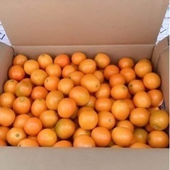 田町駅近辺で中国人コミュニティグループ作りたいです★ - 友達