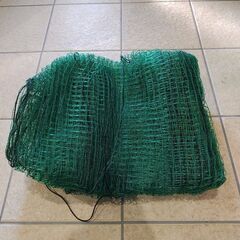 【交渉中】緑のネット