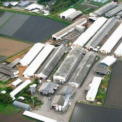 養豚場作業員【鹿屋市下堀町】月給21万円以上・昇給・賞与・豚肉プレゼントの画像
