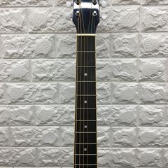 Lumber ランバー アコースティックギター LJ250VSの画像