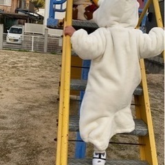 土筆がとれるところ教えてください