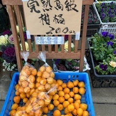 野菜　果物お持ち下さい。マルシェ　フリマスペース