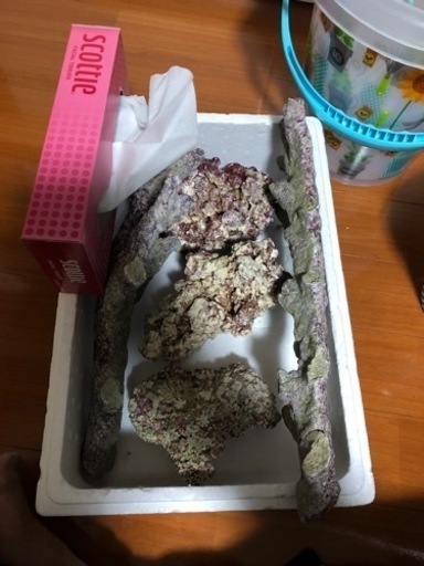 ライブロック