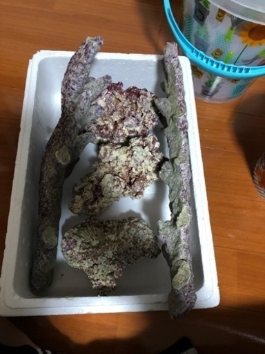 ライブロック