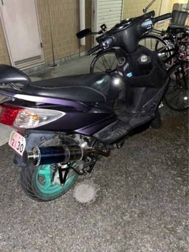 シグナス2型