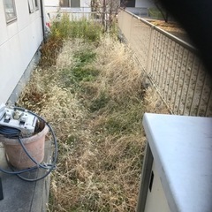 庭の草刈り　草抜き、剪定、伐採いたします　地域密着低価格