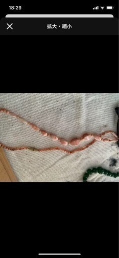 珊瑚　ネックレス　ピンク