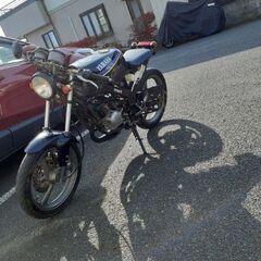 Tzr50