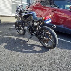 Tzr50の画像