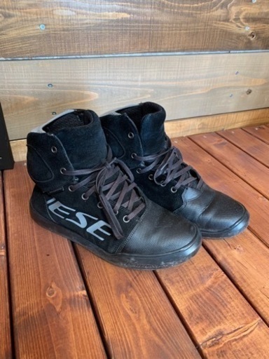 ダイネーゼ 26.5 (お引き受け先が決まりました)