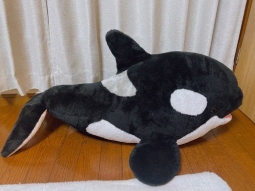 【一等】鴨川シーワールド シャチ ぬいぐるみ 特大