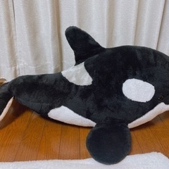 【一等】鴨川シーワールド シャチ ぬいぐるみ 特大